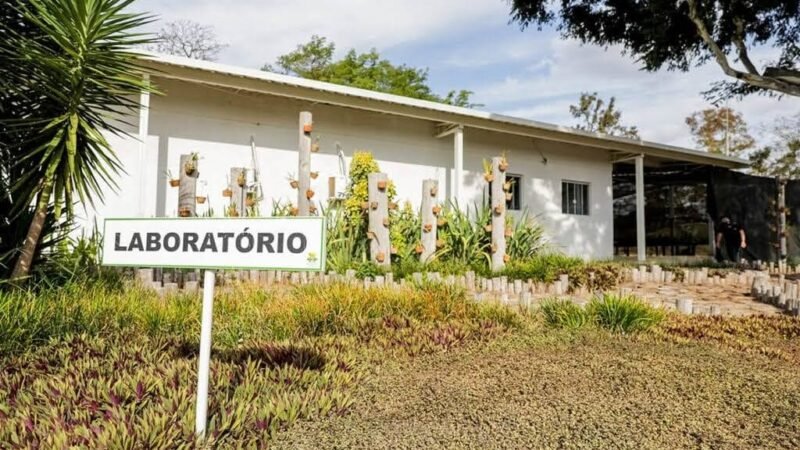 Meio Ambiente: Laboratório do GDF reproduz espécies do Cerrado ameaçadas de extinção