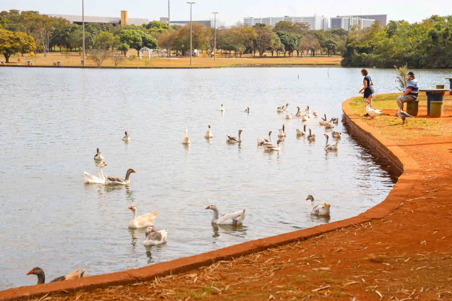 Lago do Parque da Cidade receberá operação de limpeza