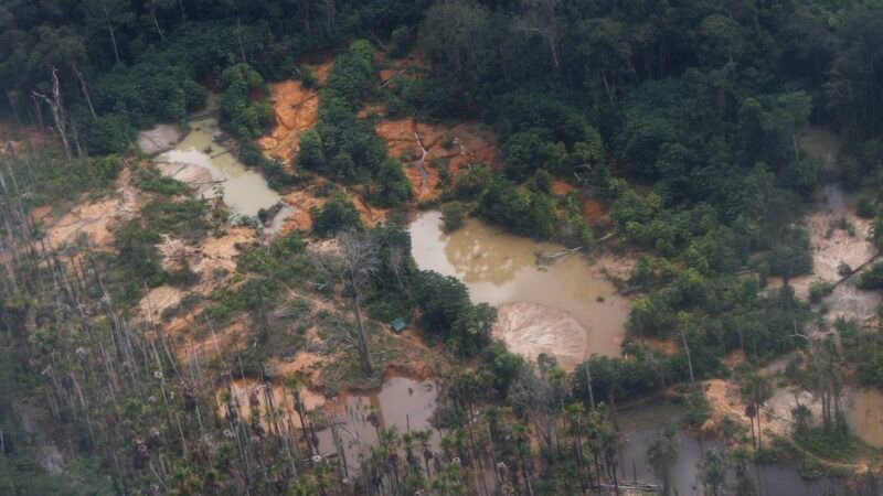 Garimpo ilegal devasta área de 118 hectares em Rondônia e no Amazonas