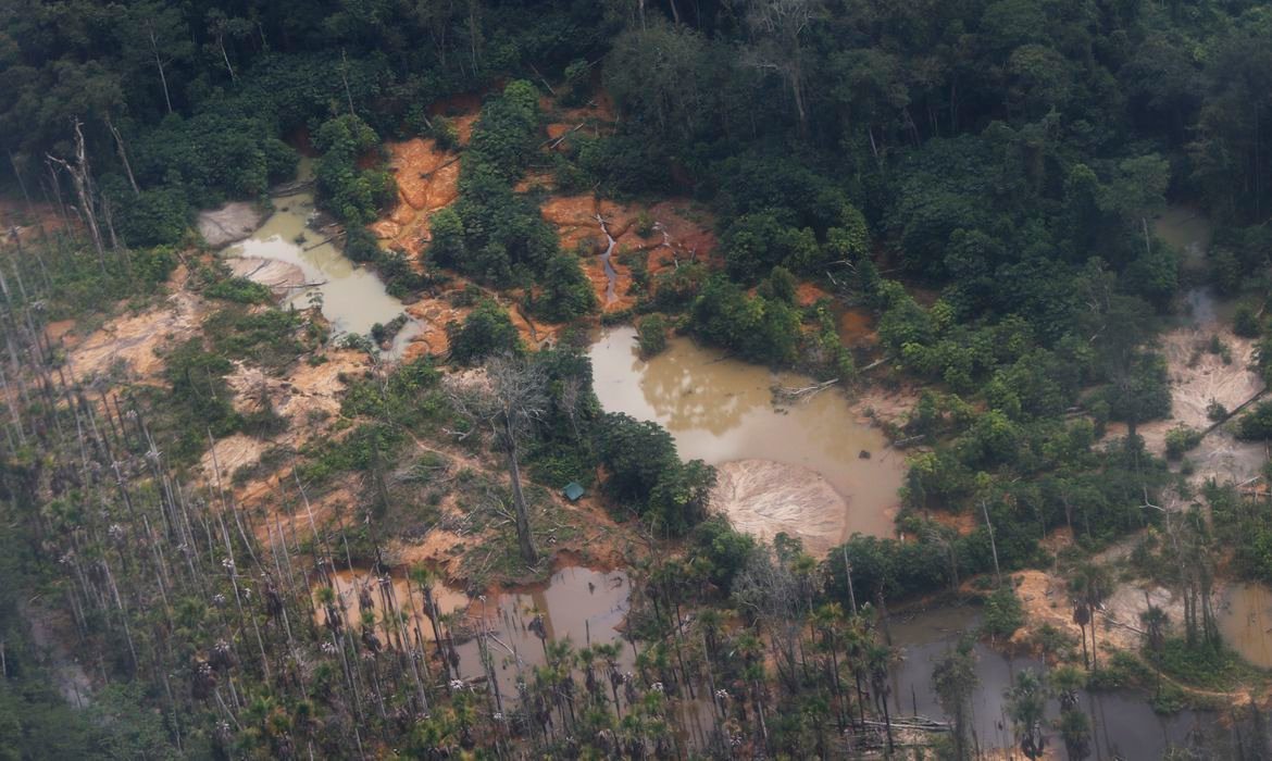 Garimpo ilegal devasta área de 118 hectares em Rondônia e no Amazonas