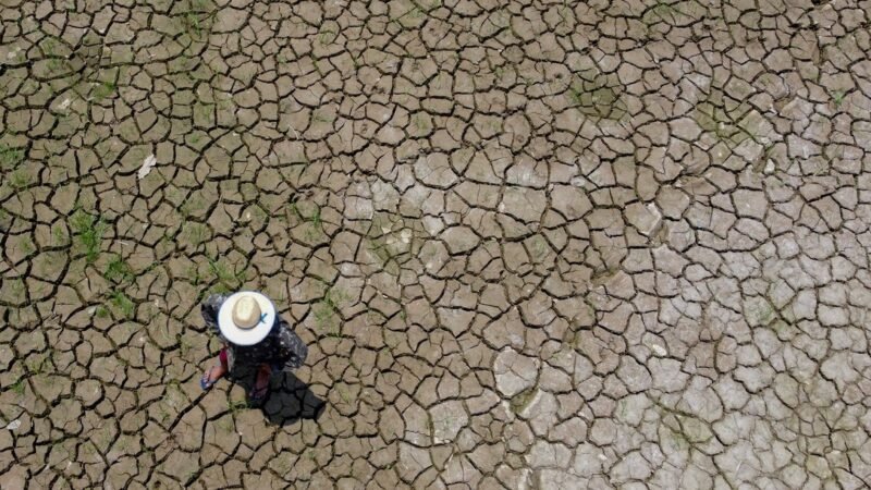 Seca já afeta todos os 62 municípios do Amazonas