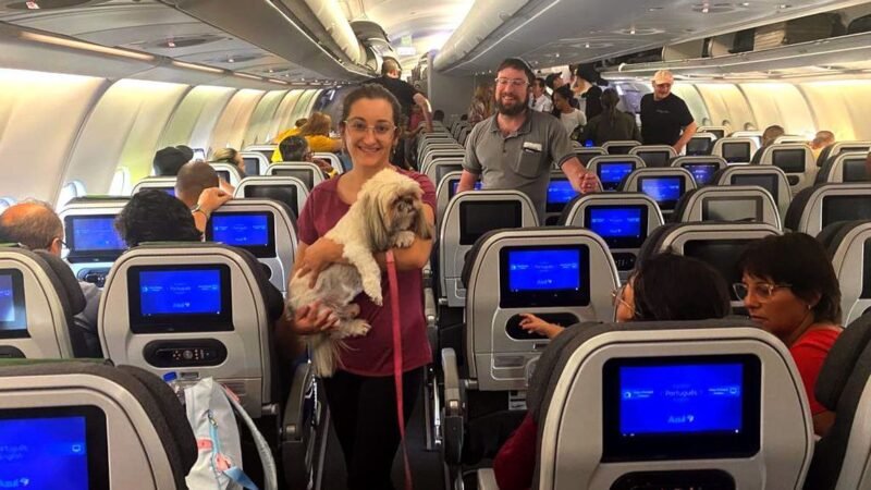 Terminal de cargas do aeroporto de Porto Alegre volta a operar