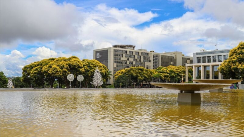 Cambuís colorem de amarelo a capital federal