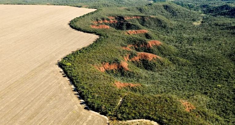 Cerrado perde em janeiro área equivalente à de Maceió