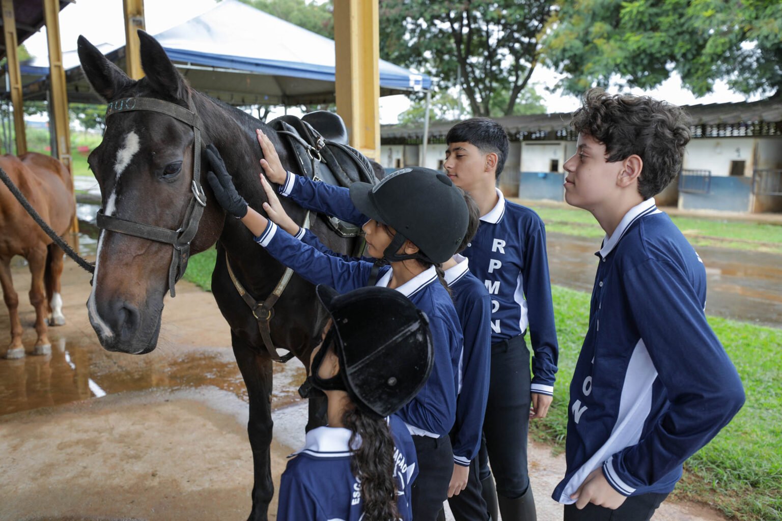 Projeto gratuito de equitação e equoterapia volta às aulas com 360 alunos