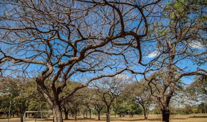 Inmet alerta sobre baixa umidade no Centro-Oeste e no Tocantins